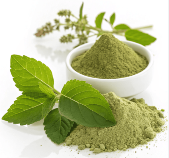 Tulsi Powder