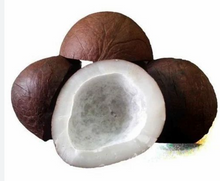 Dry Coconut
