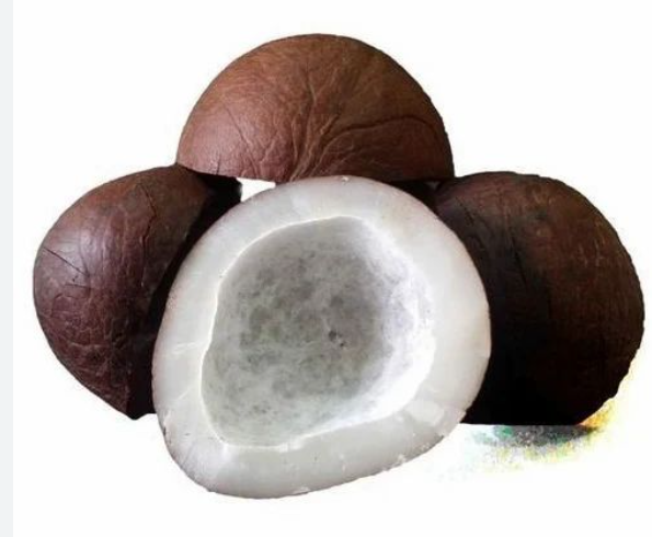 Dry Coconut